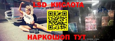 прущие грибы Среднеуральск