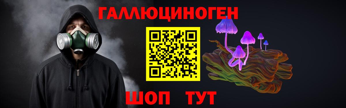 Псилоцибиновые грибы Psilocybe Ростов Великий